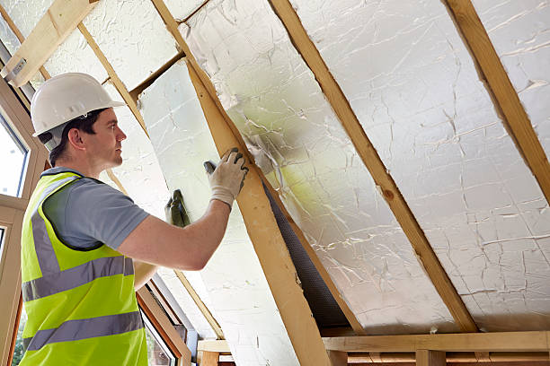 Best Home Insulation Services  in Inkerman, PA